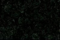 Verde Veneziano.jpg